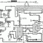 1990 F800 Ignition Wiring Diagram