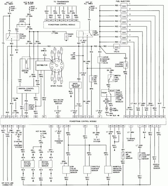 1995 Ford Contour Wiring Harness Problems Schematic And Wiring Diagram