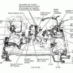 2004 Ford F150 5 4 Triton Firing Order Wiring And Printable