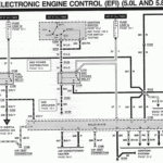 30 Fuel Tank Selector Switch Wiring Diagram Wiring Diagram Database