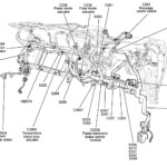 BY 2072 05 Ford Escape Engine Wire Harness Wiring Diagram
