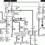 Ford Tail Light Wiring Diagram Wiring Diagram