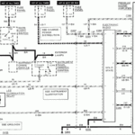 I Have A Shop Manual For My 1991 Ford Mustang GT And Am Replacing The