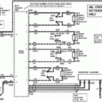 I Need A Wiring Diagram For A 1995 Crown Vic My Headlights stereo