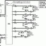 I Need A Wiring Diagram For A 1995 Crown Vic My Headlights stereo