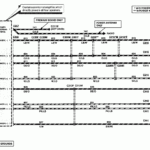 I Need The Radio Speaker Color Codes wiring Diagrams For A 1995 Ford