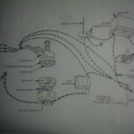 Xf Falcon Wiring Diagram