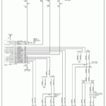 2000 Ford Taurus Stereo Wiring Diagram Pictures Wiring Collection