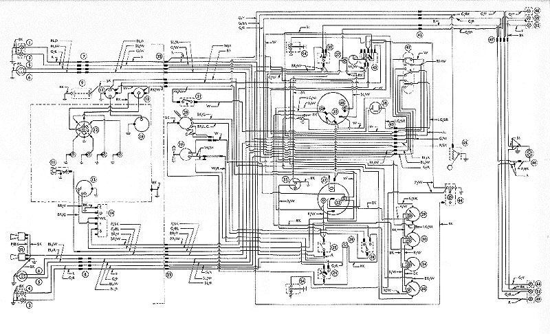 Focus Wiring Diagram QUENTINSPEAKS