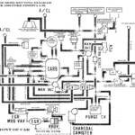 1998 Ford Festiva Wiring Diagram