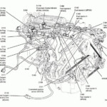 2006 Ford Five Hundred Car Audio Wiring Diagram Schematic Diagram