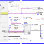 Our 2007 Ford Expedition Has No Tail Lights We Have Checked All Fuses